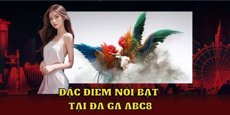 Đá gà ABC8 tổng hợp các cuộc giao chiến của những đối thủ nặng ký 